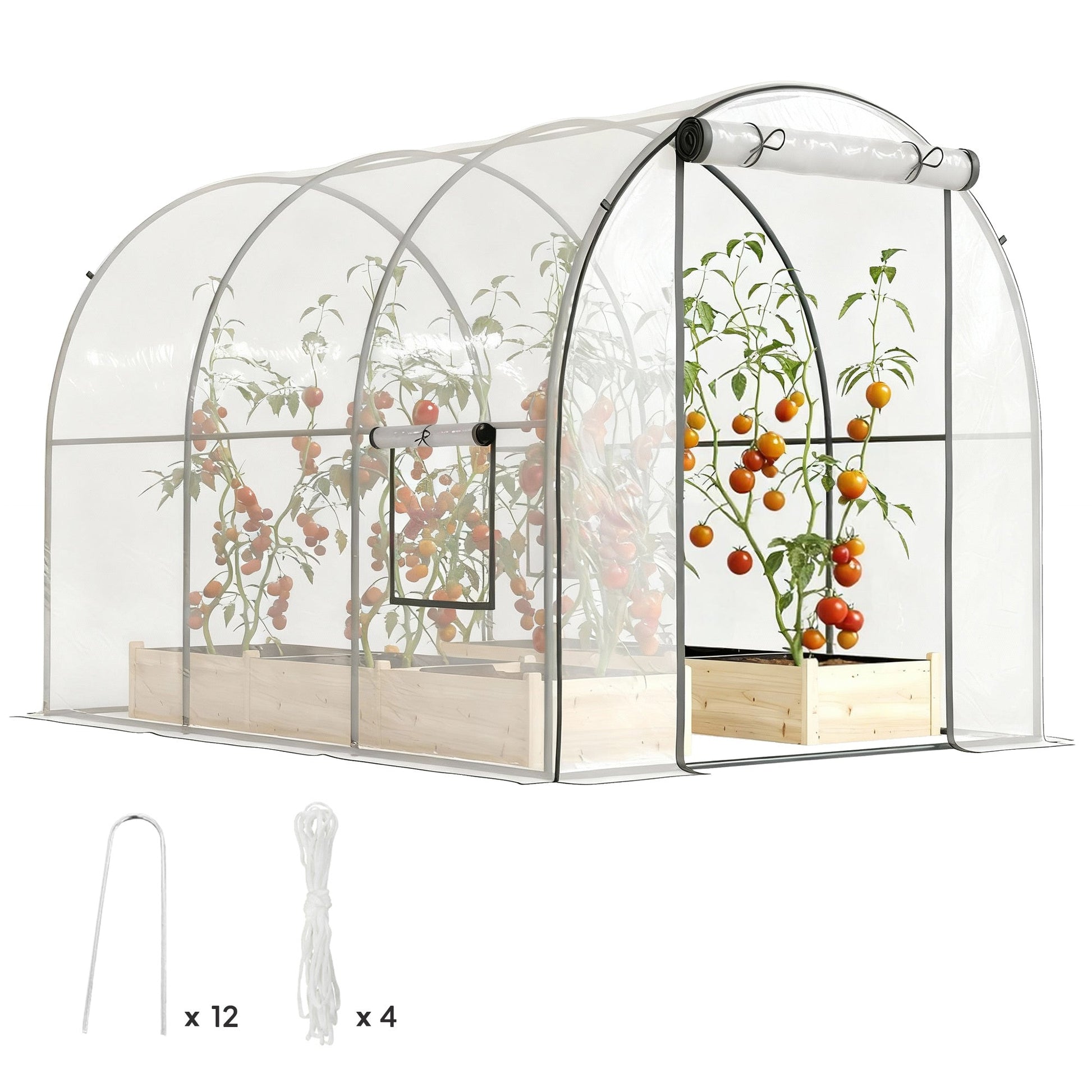 3 x 2 x 2 m Polytunnel Greenhouse with Roll-up Door and Mesh Window, Walk-in Grow House Tent with Plastic Cover and Steel Frame, Clear