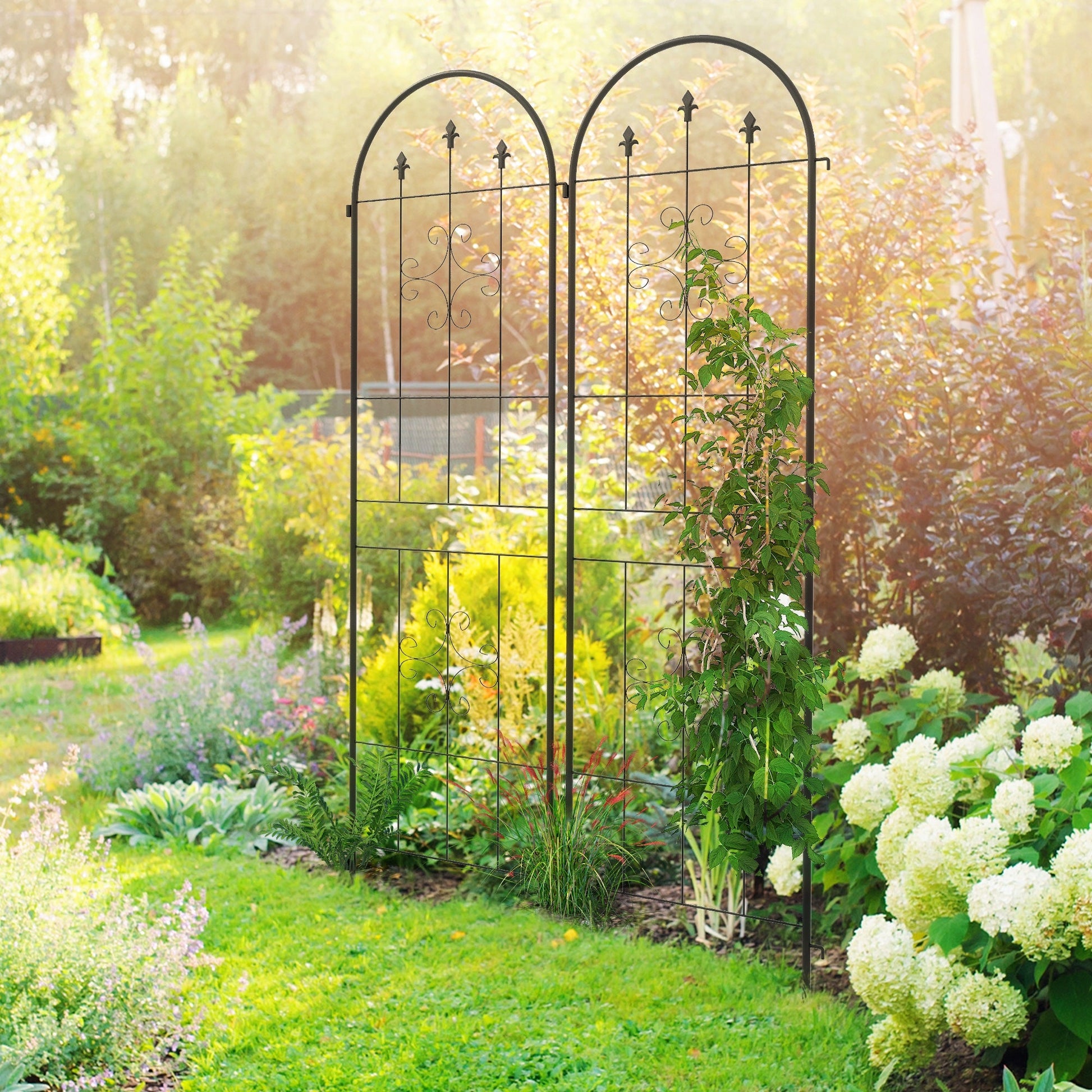 2 Pack Garden Trellis, 20" x 71" Plant Support Metal Trellis for Climbing Plants Flowers, Arrow Design
