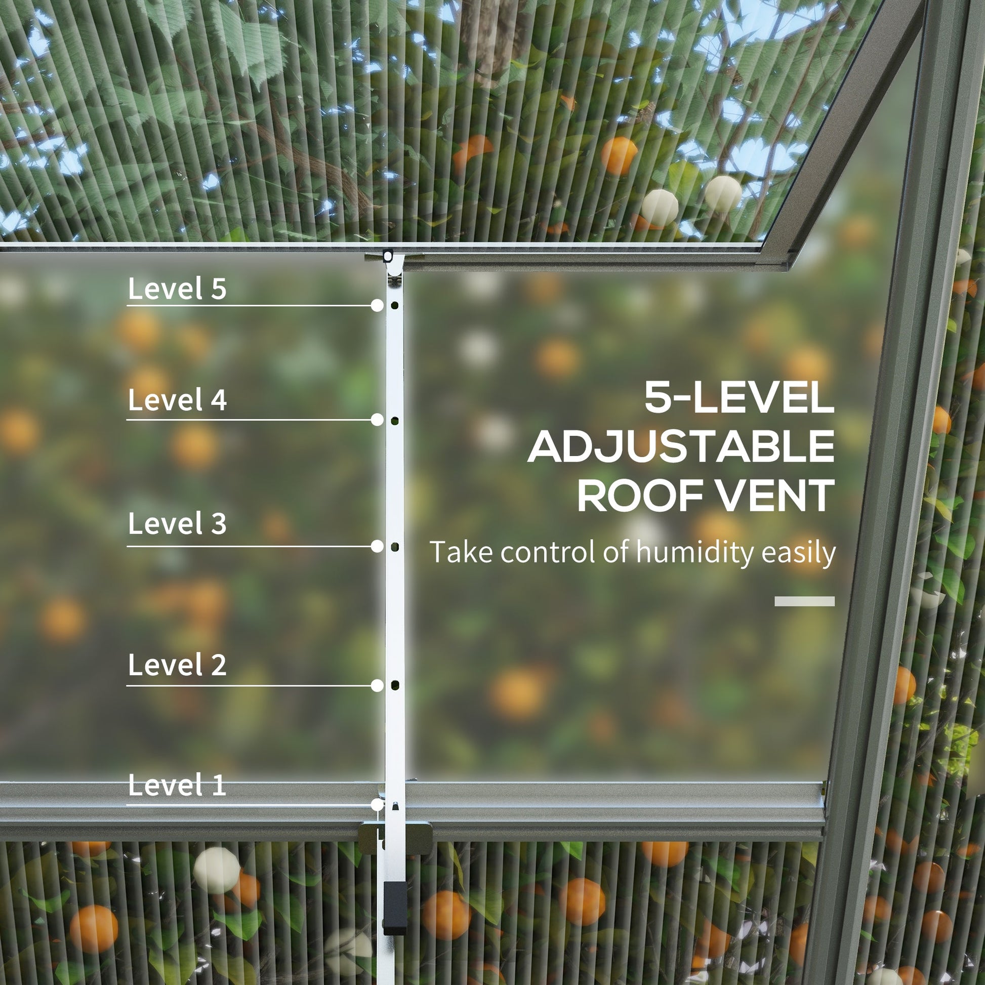 6' x 8' Polycarbonate Greenhouse with 2 Polycarbonate Types, Walk-in Green House with Hinged Door, 5-Level Roof Vents, Rain Gutter, Aluminium Frame and Foundation Kit