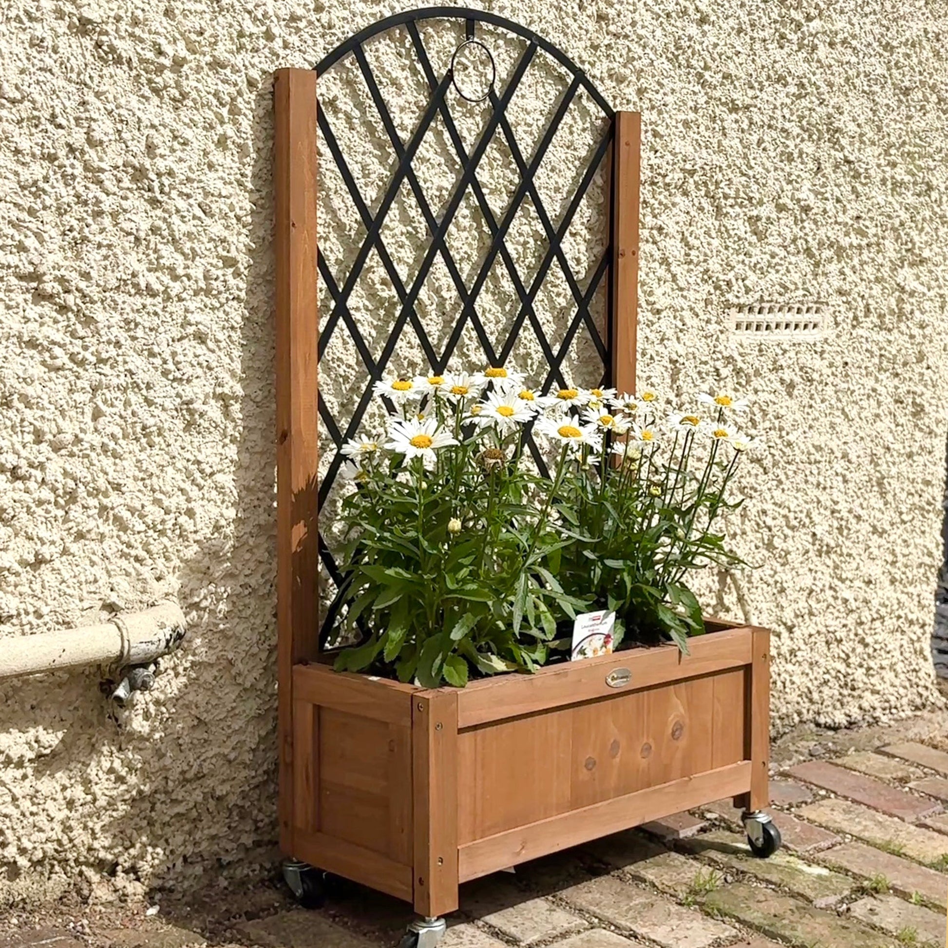 Raised Garden Bed with Metal Trellis, Pack of 2 Wooden Elevated Planter Box with Wheels and Drainage Holes, Outdoor Raised Planter for Climbing Plants, Flowers, Brown