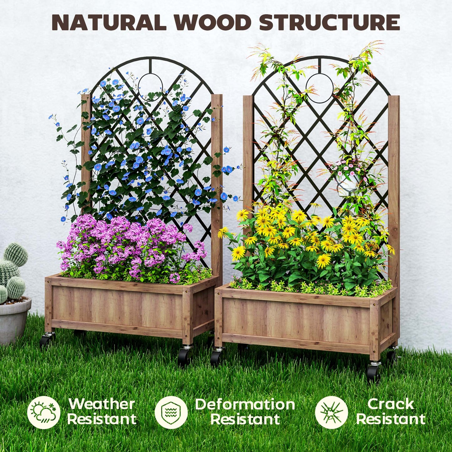 Raised Garden Bed with Metal Trellis, Pack of 2 Wooden Elevated Planter Box with Wheels and Drainage Holes, Outdoor Raised Planter for Climbing Plants, Flowers, Brown