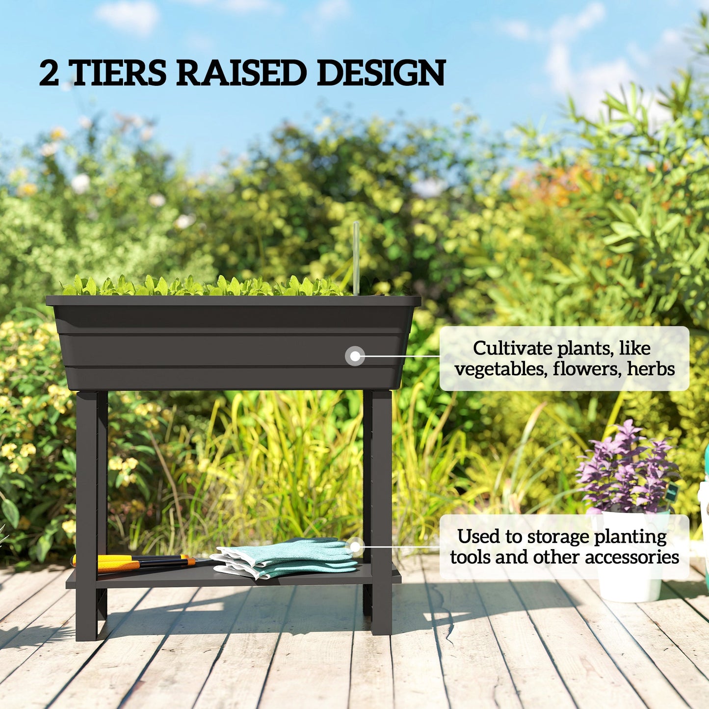 41L Self Watering Raised Garden Bed with Ventilation Transparent Lid Greenhouse, Storage Shelf, Planter Box with Water Level Indicator, 29.5" x 14.2" x 36.2", Black